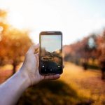 Close-up of a smartphone capturing a sunny outdoor scene with bokeh effect.