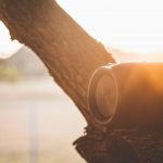 Close-up of a portable Bluetooth speaker on a tree with sun glare, creating a vibrant and warm atmosphere.