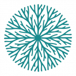 A Coral Escapade Site Icon