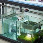 Aquarium Sump