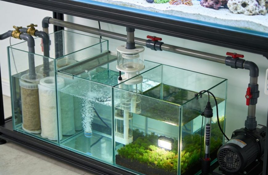 Aquarium Sump