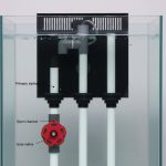 Bean Animal Overflow