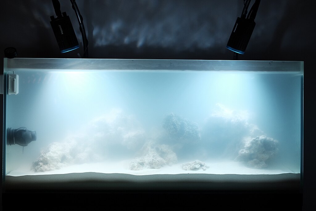 Cloudy Aquarium