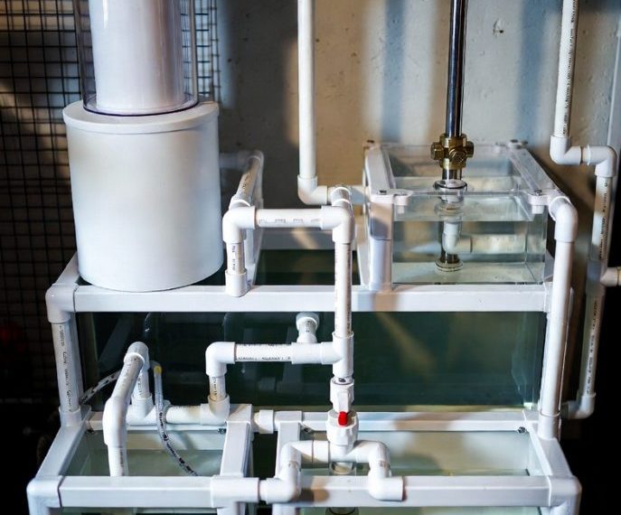 Complicated Sump Design