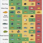 Fish Compatibility Chart