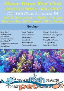 Maxon Dixon Spring 2026