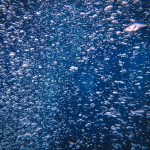 A mesmerizing close-up of bubbles underwater, highlighting sea life and fluid movement.