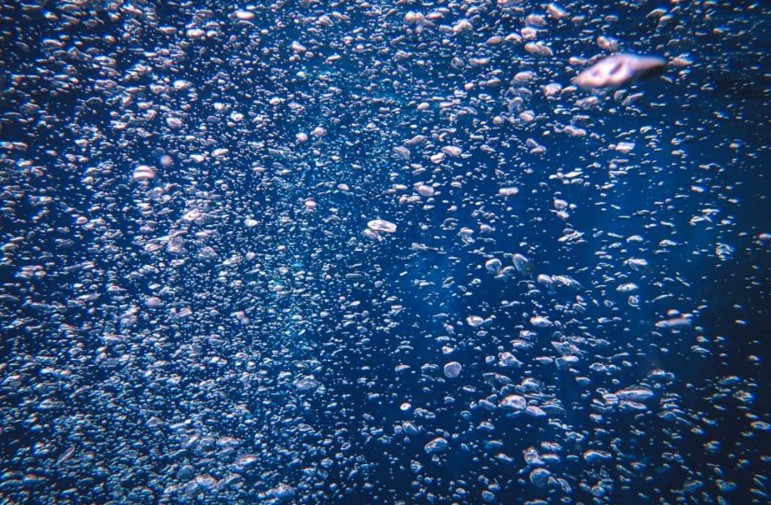 A mesmerizing close-up of bubbles underwater, highlighting sea life and fluid movement.