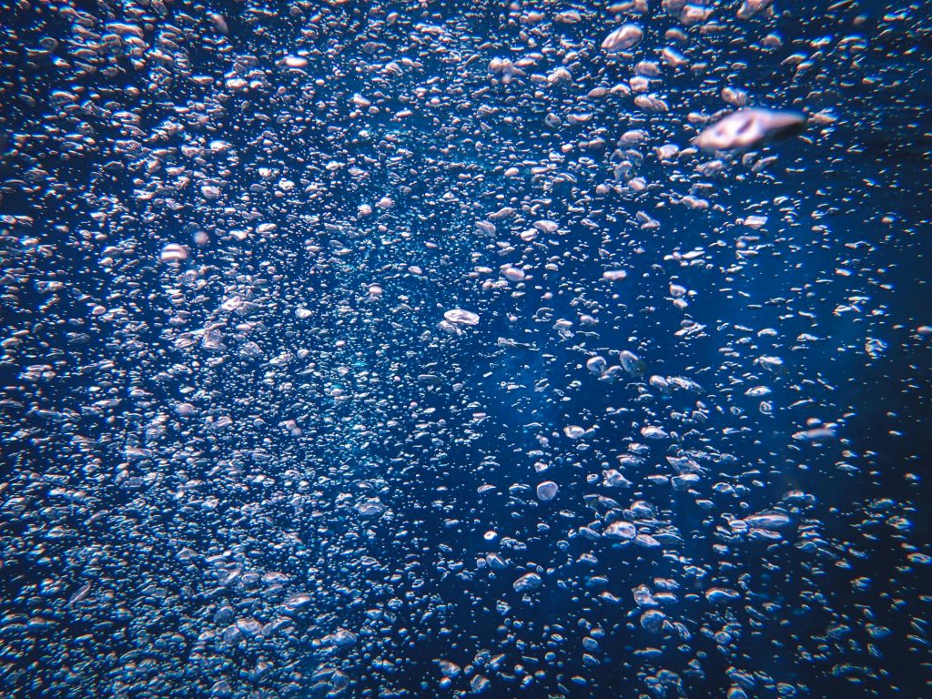 A mesmerizing close-up of bubbles underwater, highlighting sea life and fluid movement.
