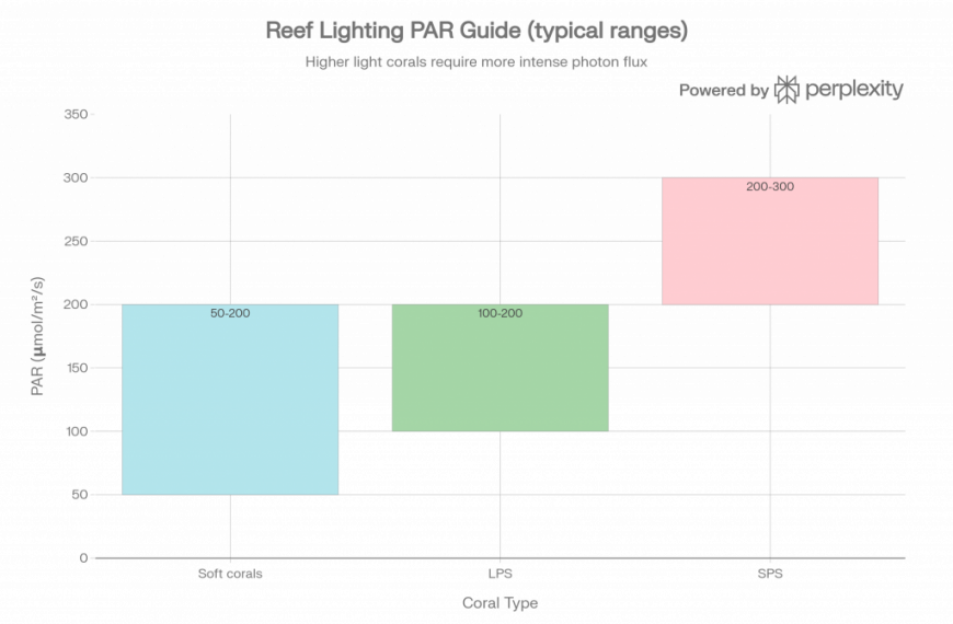 Reef Par Chart