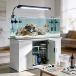 Saltwater Tank Setup
