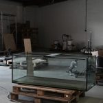 Site Empty Aquarium Pexels Skylar Kang 6045041