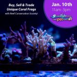 RCS Fragswap Winter 2026