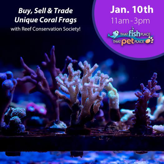 RCS Fragswap Winter 2026