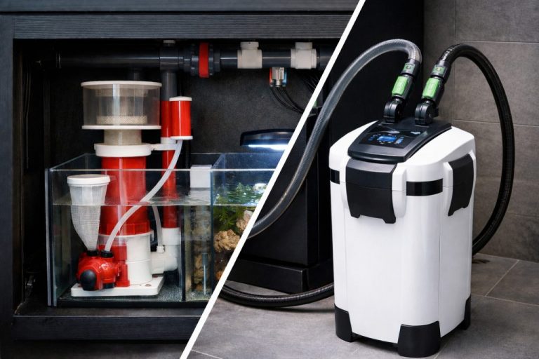 Sump vs Canister Filter