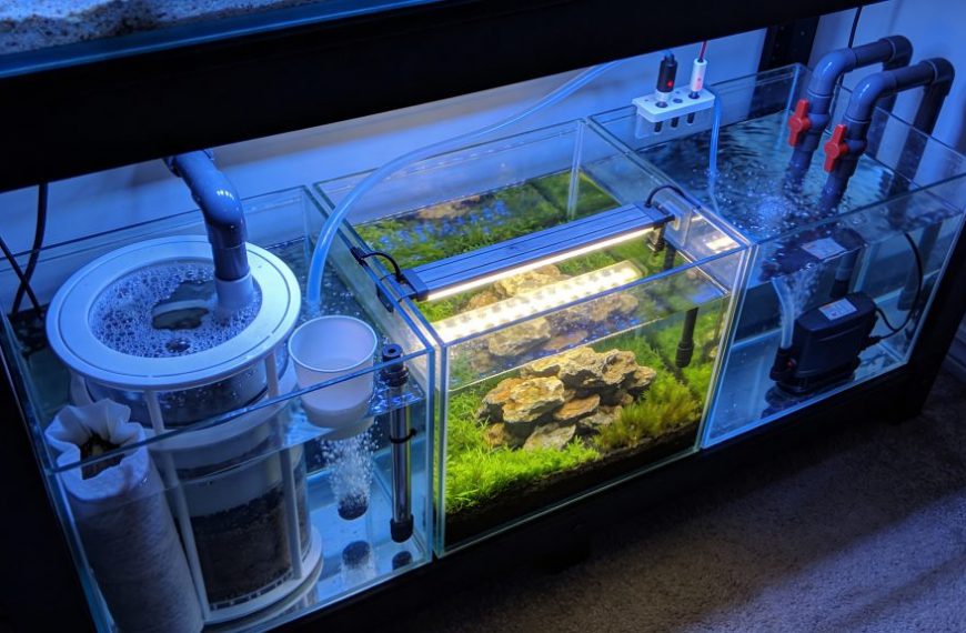 Sump Refugium