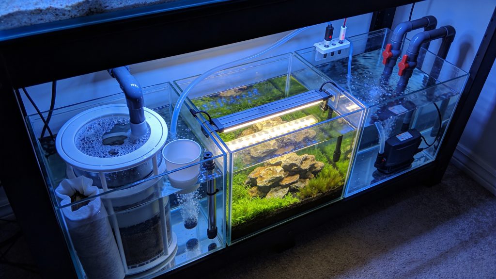 Sump Refugium